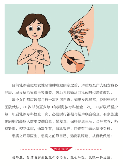 预防乳腺癌的建议有哪些 辽宁莘嘉姣:关于乳腺癌的优选文章