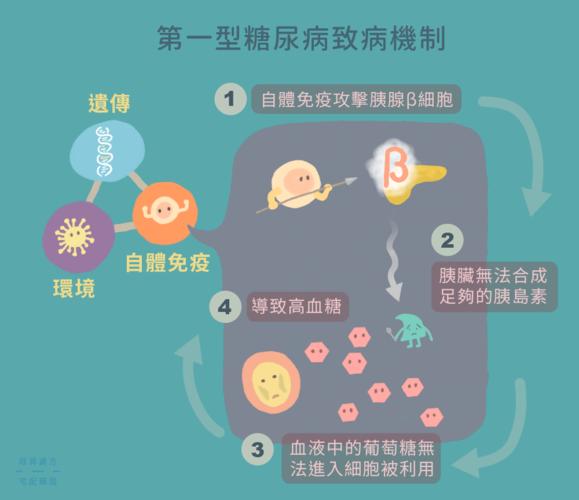 什么原因导致1型糖尿病的 台州市阮姣好：关于糖尿病的精选文章