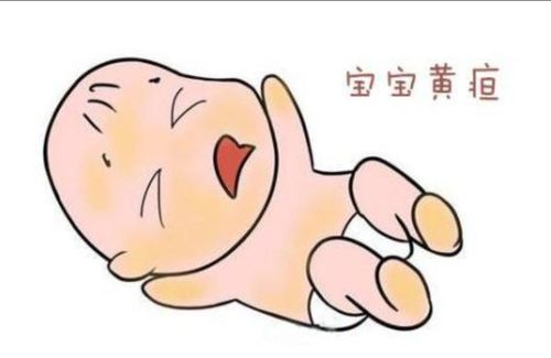 新生儿黄疸过高必须检查大脑吗 2009江苏屈芳婷推荐文章