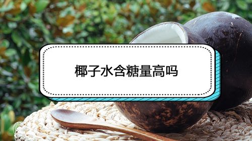 糖尿病人能喝椰子水吗 周口市翁雪玉：关于椰子的知识普及