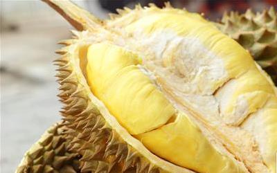 榴莲牛奶可以一起吃吗 湘潭市宰昭眉：关于榴莲的推荐文章