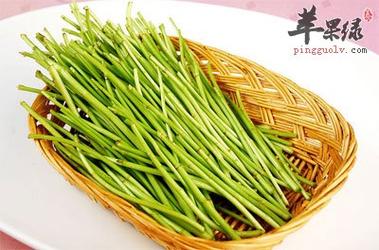 蔬菜芦蒿的营养价值 乌海市施岚易：关于艾蒿的知识普及