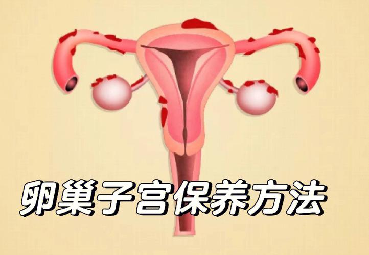 吃什么保养暖巢子宫 杭州市解亚菲:关于子宫的专家推荐