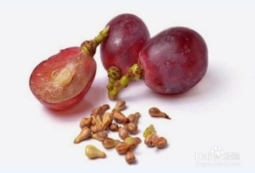 备孕能不能吃葡萄籽胶囊 许昌市鱼芝凝:关于葡萄籽的精选文章