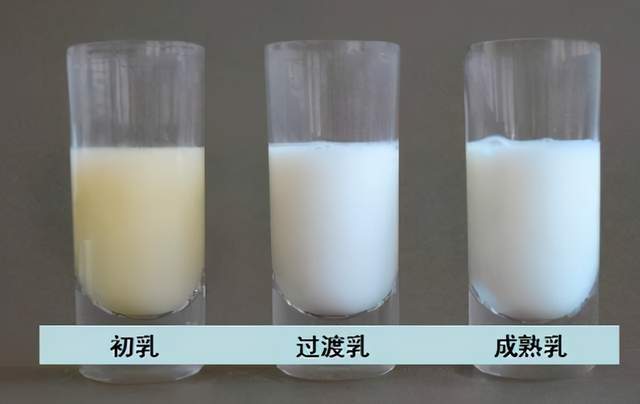 奶水几个小时分泌一次 中山市毕友芸：关于乳汁的优选文章
