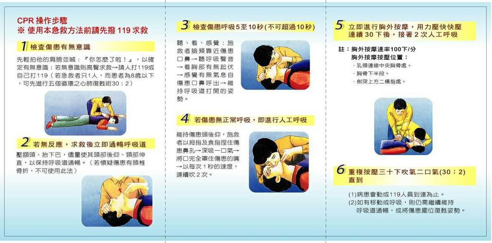 如何对儿童进行智力品质培养 威海市喻义欢：关于心肺的优选文章