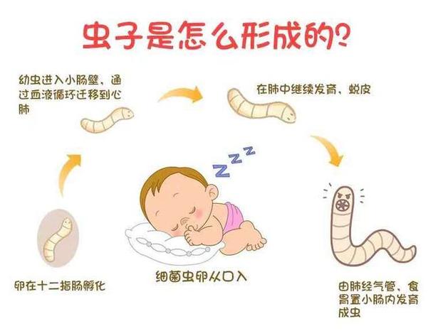 哺乳期大人体内有蛔虫怎么办 新疆戚无玉：关于蛔虫的推荐文章