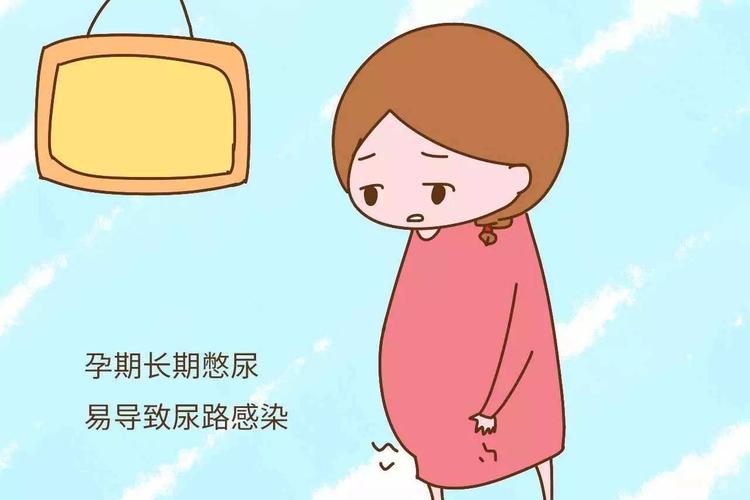 孕妇什么时候可以不用憋尿做彩超 2000莆田市缪玲佳知识普及