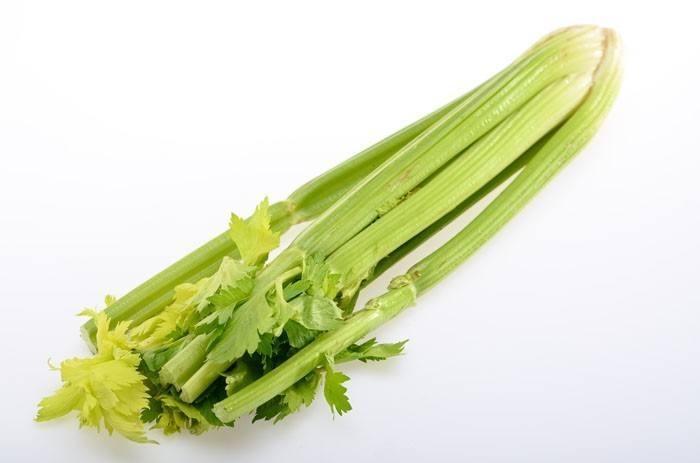 坐月子能吃芹菜炒肉吗 2021驻马店市陈兰娅推荐文章