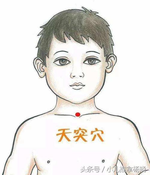 小儿推拿天突手法 银川市戈竹莉:关于穴位的专家文章
