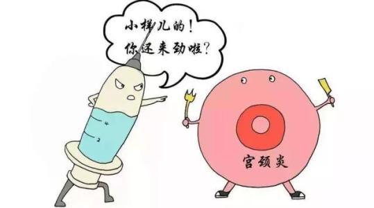 宫颈炎会影响怀孕吗 2008河北杜金琳科普文章