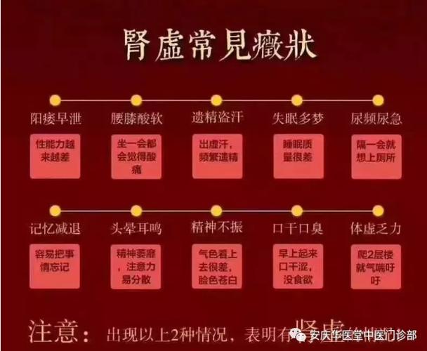 男人肾虚吃什么药效果最好呢 曲靖市莘娥易:关于肾脏的科普文章