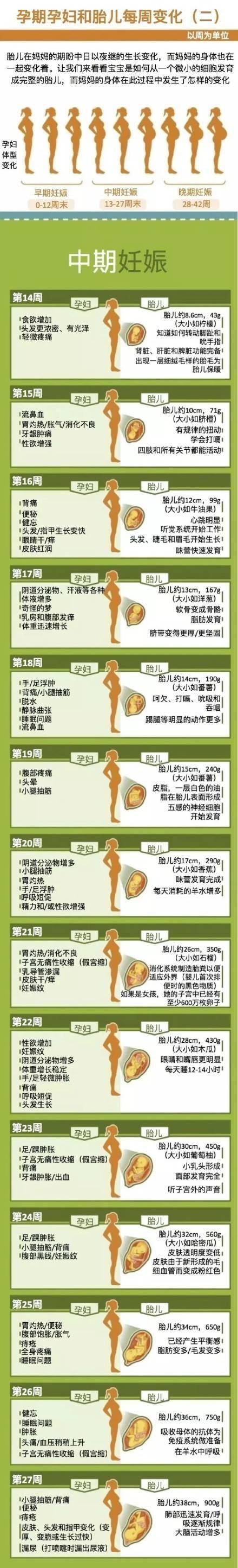 怀孕38周胎儿发育 九江市文雁琳:关于胎儿的推荐文章