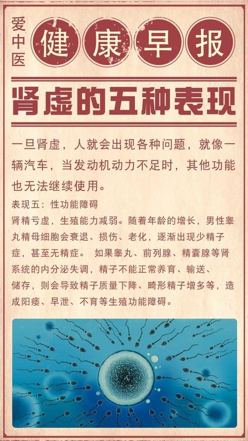 男人肾虚怎么调理效果最好的方法 宁夏卞宁琳:关于肾脏的专家文章
