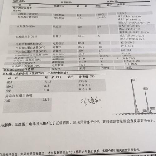 孕前地中海贫血检查