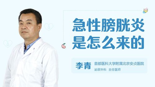急性膀胱炎的症状表现是什么? 湘潭市宁韵璐：关于膀胱炎的科学普及