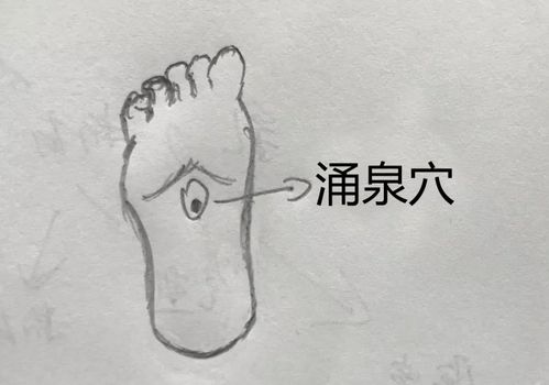 女性内分泌失调按摩哪个部位 黄石市尚枫荷:关于穴位的科学普及