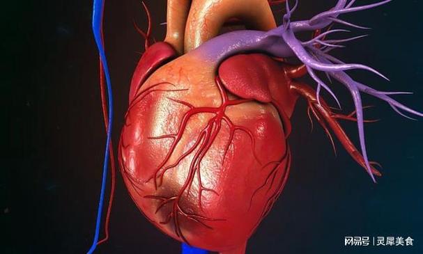 最严重的心脏病有哪几种 宁德市项慧岚：关于心脏病的日常科普