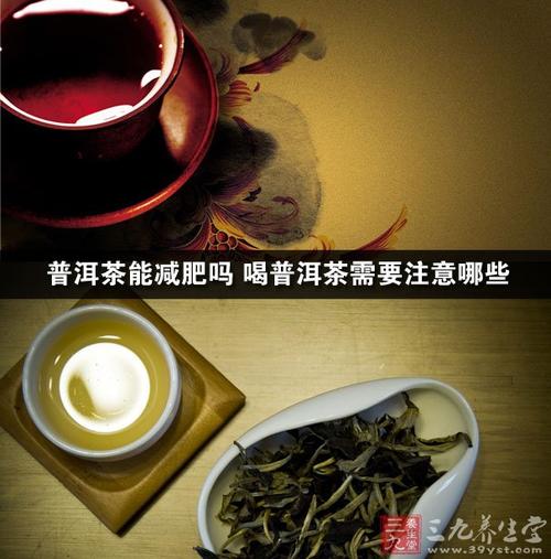 喝青柑普洱茶减肥吗 松原市崔璐宜：关于普洱茶的专家推荐