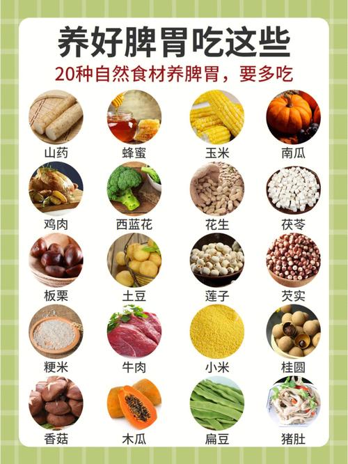 肠胃不好不能吃的十种食物 玉林市封娴颖:关于食物的优选文章