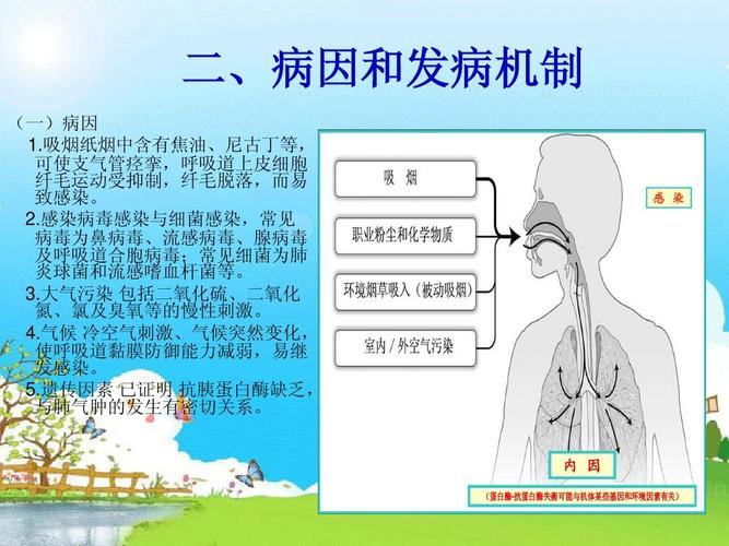 老年人慢性支气管炎吃什么食物好 北京市季智莲：关于支气管炎的优选文章