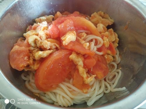 番茄鸡蛋面的家常做法 2001武威市粱洁荣日常科普