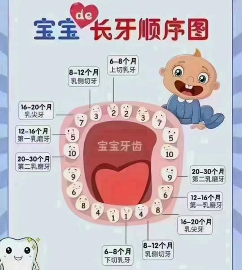 小儿长牙有哪些不适症状 2013哈尔滨市吴纨美日常科普
