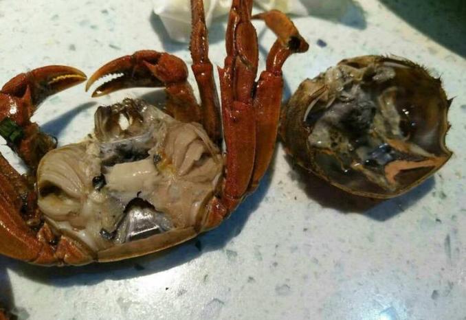 死蟹不能吃是因菌落超标 2024淮北市滑昭筠知识普及