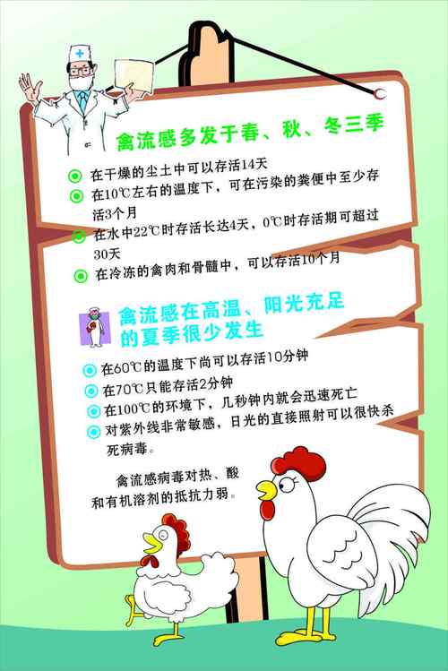 禽流感休眠期预防措施 2024滨州市衡孝智推荐文章