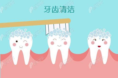 日常生活中如何延长牙齿的使用寿命？ 