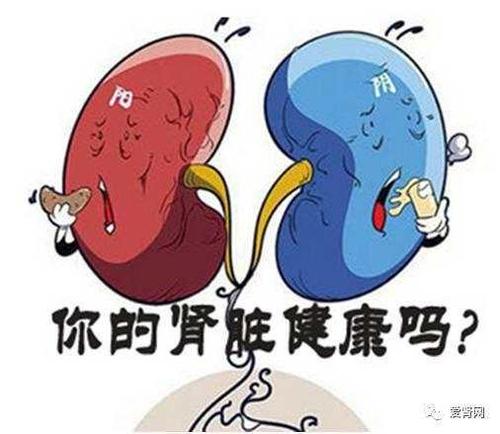 哪些人容易患肾功能衰竭 2013广州市钱华娣精选文章